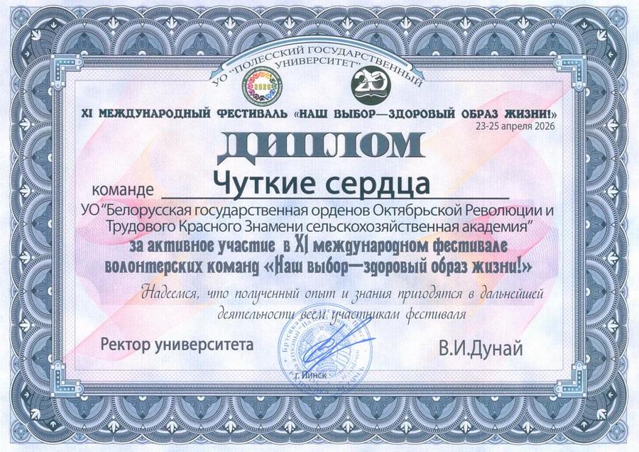 Фестиваль