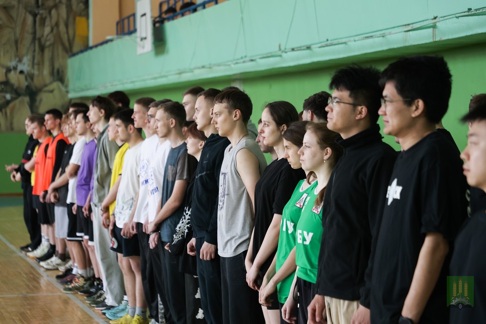 Спорт
