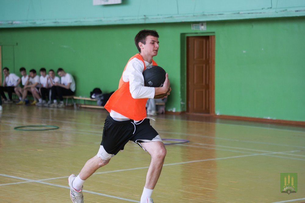 Спорт