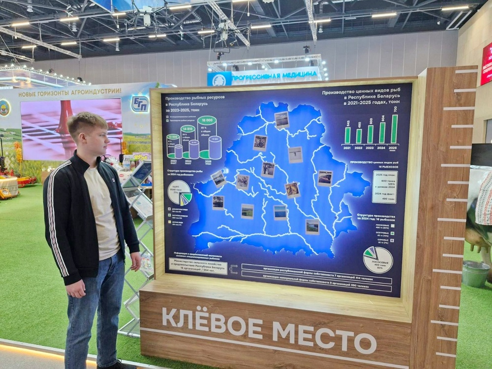 Выставка
