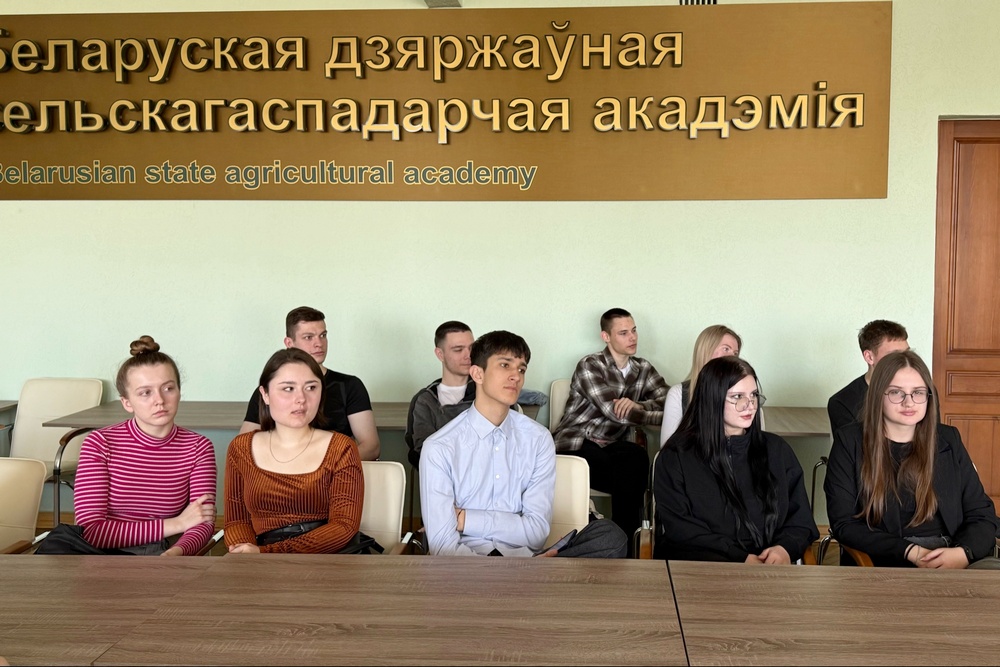 Диалог