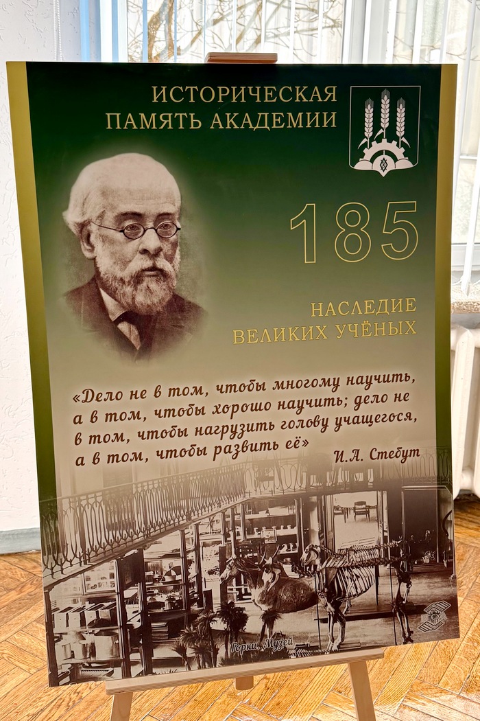 Выставка