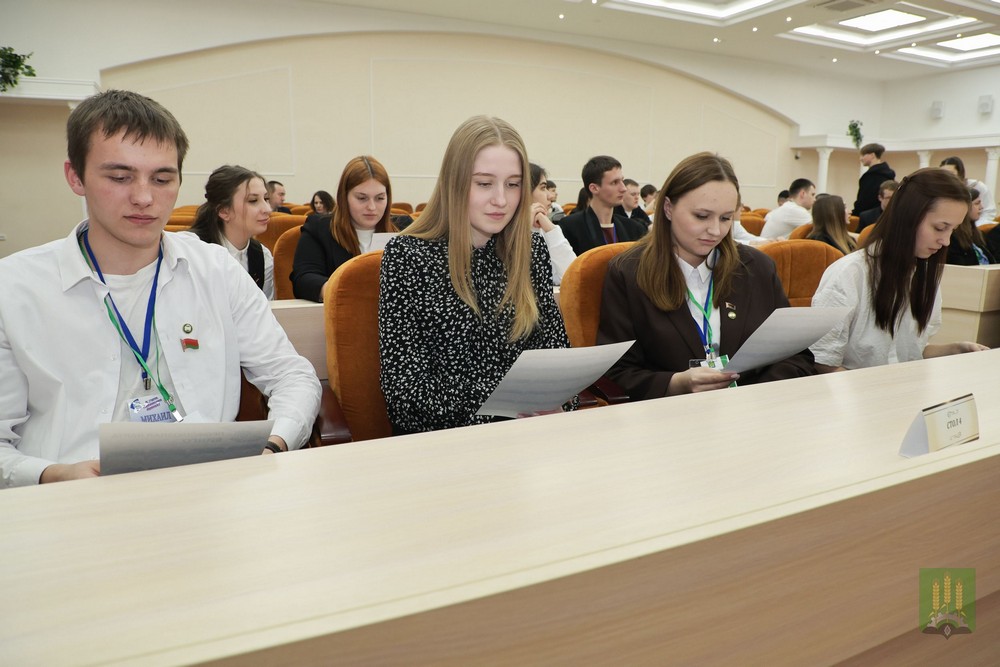 Студенческий мост