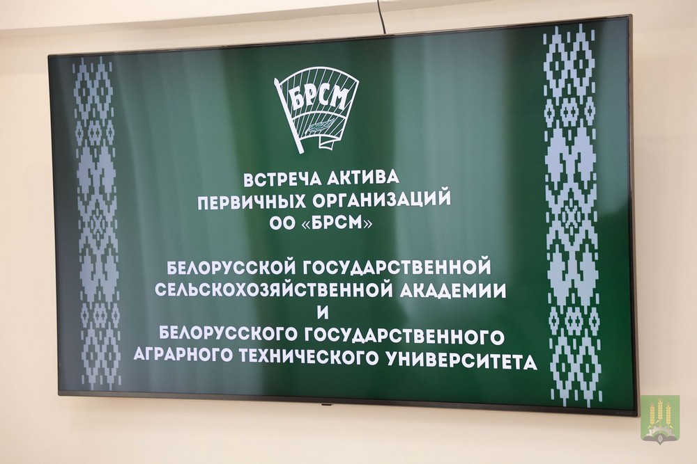 Студенческий мост