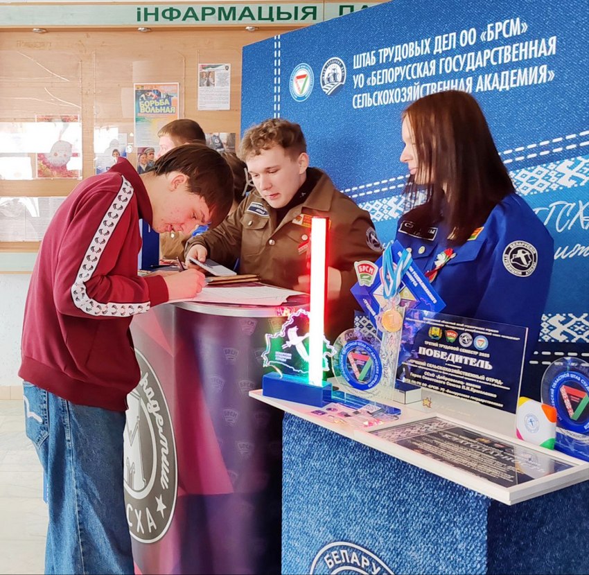 Выбираем студотряд