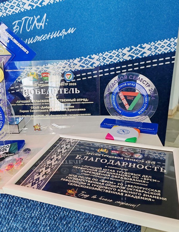 Выбираем студотряд