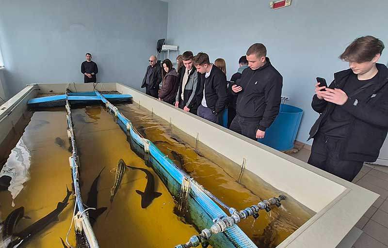 О нас пишут