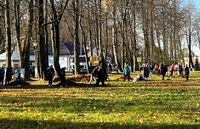 В академгородке - осенняя уборка листвы