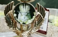 9-й кубковый турнир Клуба интеллектуальных игр УО БГСХА
