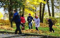 Золотой листопад в академгородке