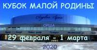 III международный турнир по интеллектуальным играм «Кубок малой родины-2020»