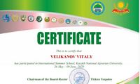 International Online School 