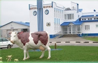 XXV International Scientific and Practical Conference