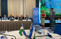 Международное сотрудничество
