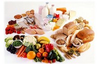 The International Scientific and Practical Conference «Problems of Food Safety»