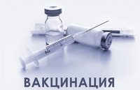 Вакцинация против COVID-19 и гриппа