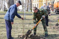 Акция «Посади дерево»