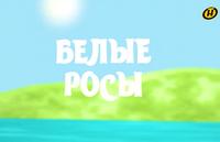 Проект «Белые росы»