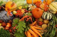 Реализация сельскохозяйственной продукции 