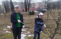 Наведении порядка в яблоневом саду Победы