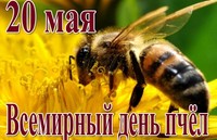 20 мая – Всемирный день пчёл
