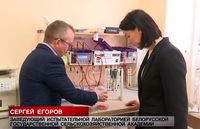 Белорусские семена не уступают импортным? Вот что говорят опытные аграрии про урожай