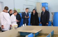 В центре внимания