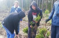 Трудовой десант в лесу