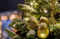 Поздравления на имя ректора