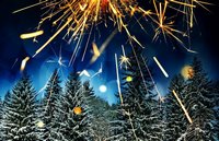 Новогодний корпоратив в УО БГСХА