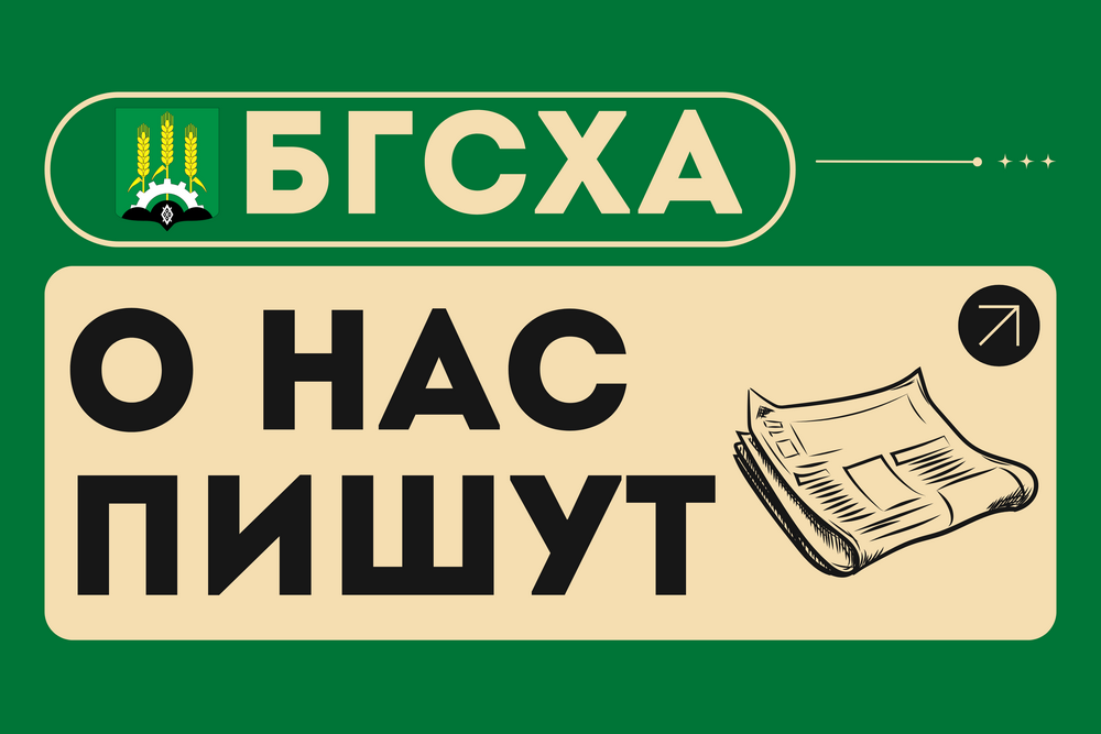 О нас пишут